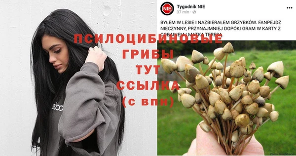 мяу мяу мука Баксан