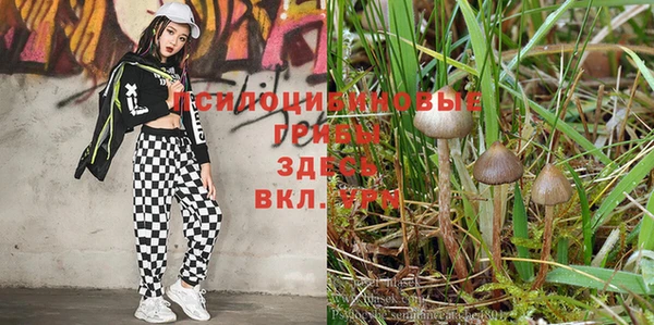 кокаин колумбия Балабаново