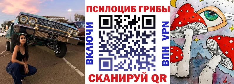 Псилоцибиновые грибы ЛСД закладки Невель